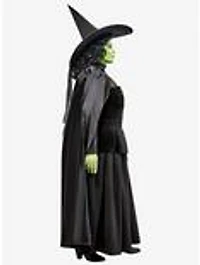The Wizard of Oz Wicked Witch Plus Costume