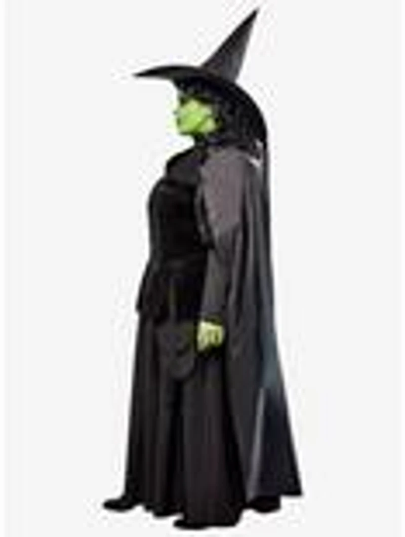 The Wizard of Oz Wicked Witch Plus Costume