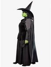 The Wizard of Oz Wicked Witch Plus Costume