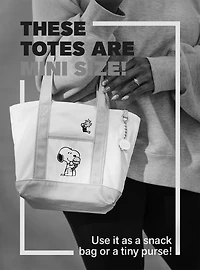 Peanuts Snoopy Blind Bag Mini Canvas Tote Bag - BoxLunch Exclusive