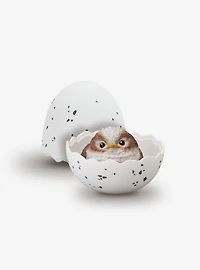 Bandai Shokugan Tenori Baby Birds Friends Blind Box Mini Figure