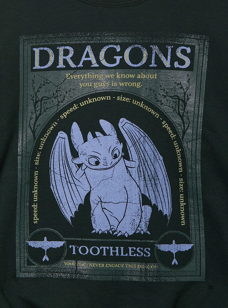 DreamWorks How To Train Your Dragon Toothless Frame Portrait Crewneck - BoxLunch Exclusive