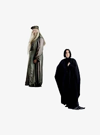 Harry Potter Hero Photos Miscellaneous 100ct Sticker Pack