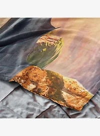 How to Train Your Dragon: Live Action Flight Above the Sea 60x80" Silk Touch Throw Blanket