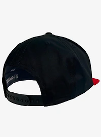 Harry Potter Gryffindor Arch Flat Brim Ball Cap