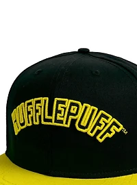 Harry Potter Hufflepuff Arch Flat Brim Ball Cap