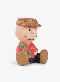Handmade by Robots A Charlie Brown Christmas Charlie Brown #410 Vinyl Figure