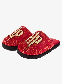 Harry Potter Hogwarts Crest Plush Non-Slip Boys Slippers