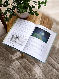 Disney Lilo & Stitch Modern Classics Book