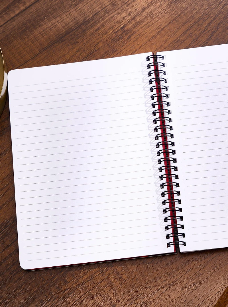 Bram Stoker's Dracula Mini Spiral Notebook
