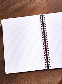 Bram Stoker's Dracula Mini Spiral Notebook