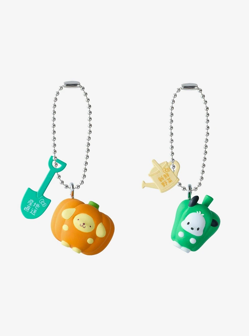 Sanrio Hello Kitty and Friends Wave 3 Blind Box Keychain