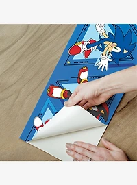 Sonic The Hedgehog Team Sonic Border Decal
