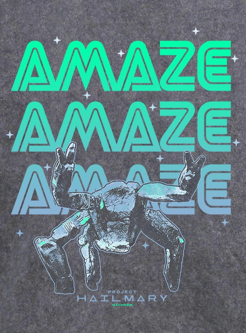 Project Hail Mary Amazing Rocky Mineral Wash Hoodie