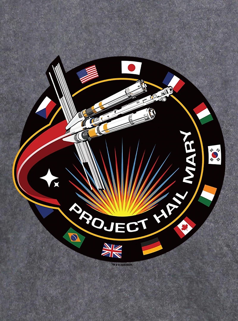 Project Hail Mary Patch Mineral Wash Hoodie