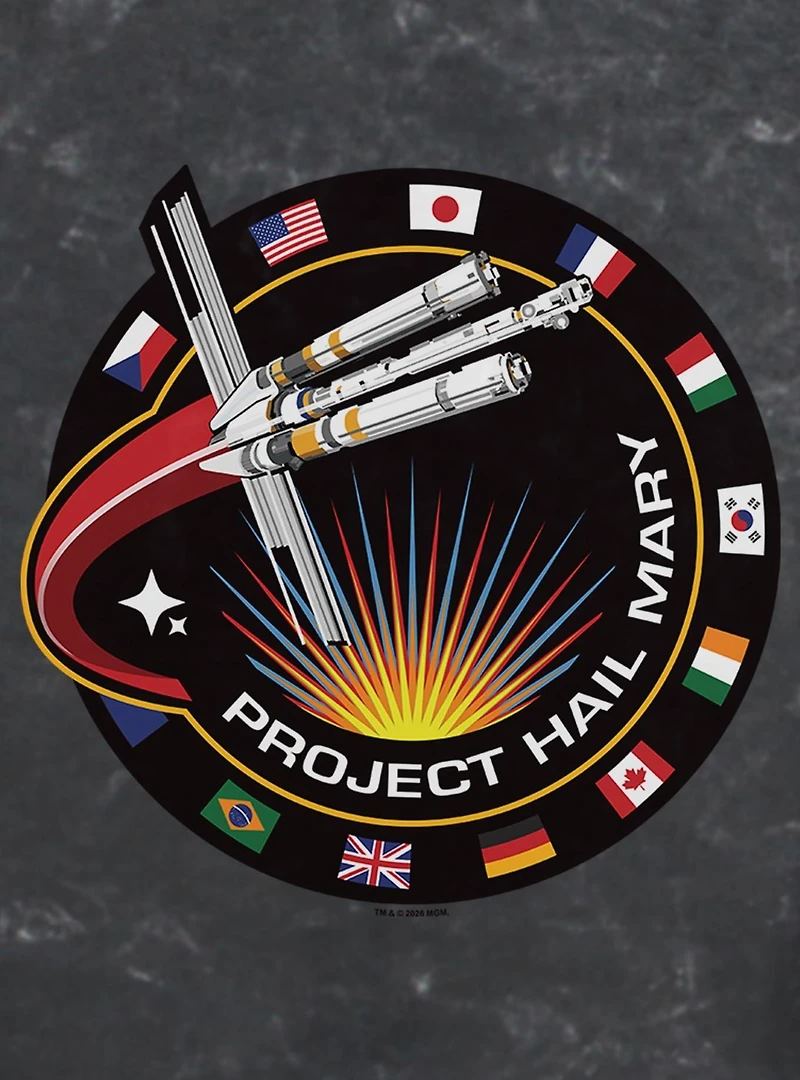 Project Hail Mary Patch Womens Mineral Wash Crop T-Shirt