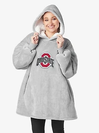 NCAA Ohio State Buckeyes Heather Grey Hoodler Pullover Hoodie