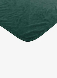 NCAA Michigan State Dimensional Micro Raschel Throw Blanket