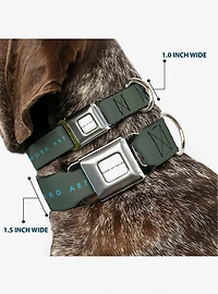 Sword Art Online Kirito & Asuna Pose Title Seatbelt Buckle Dog Collar