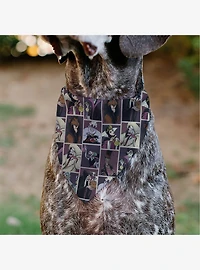Disney Villains Pose Blocks Slip On Collar Pet Bandana - Bandana Only