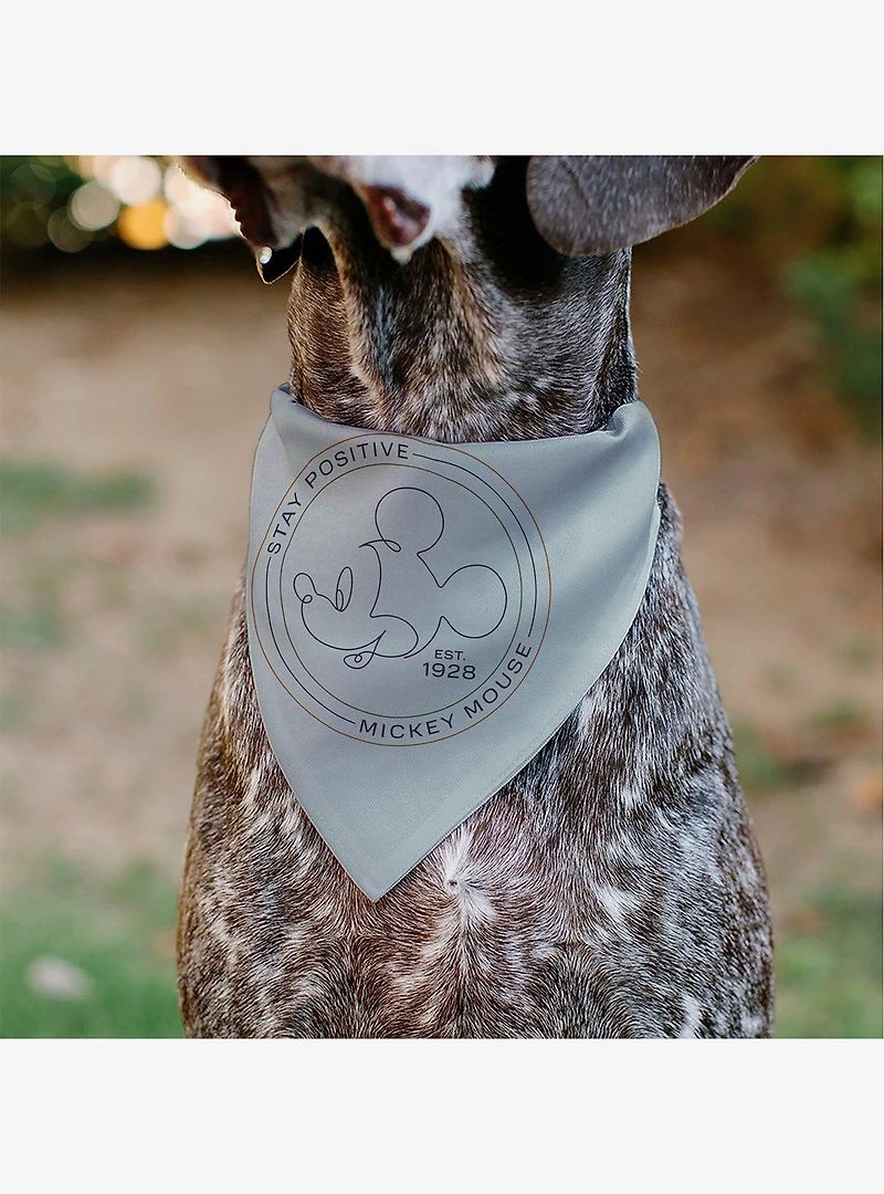 Disney Mickey Mouse Stay Positive Line Slip On Collar Pet Bandana - Bandana Only
