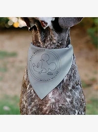 Disney Mickey Mouse Stay Positive Line Slip On Collar Pet Bandana - Bandana Only