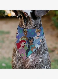 Disney Princesses Group Pose Flowers Slip On Collar Pet Bandana - Bandana Only