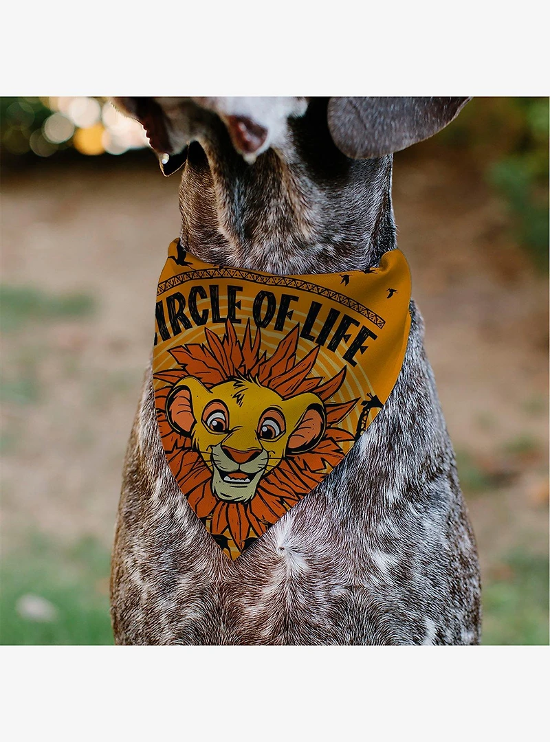 Disney The Lion King Young Simba Circle of Life Pose Slip On Collar Pet Bandana - Bandana Only
