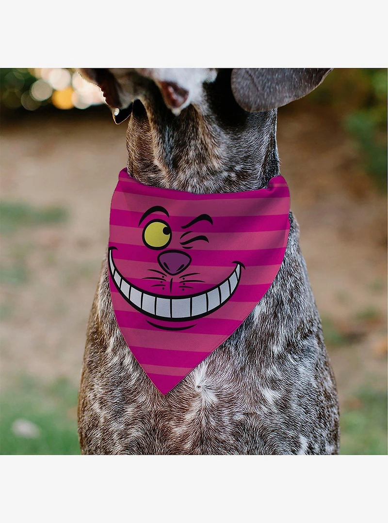 Disney Alice in Wonderland Cheshire Cat Winking Smile Slip On Collar Pet Bandana - Bandana Only