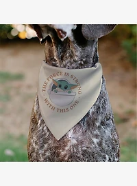 Star Wars The Mandalorian the Force is Strong Grogu Pod Pose Slip On Collar Pet Bandana - Bandana Only