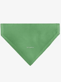 Star Wars Grogu I'm All Ears Pose Green Slip On Collar Pet Bandana - Bandana Only
