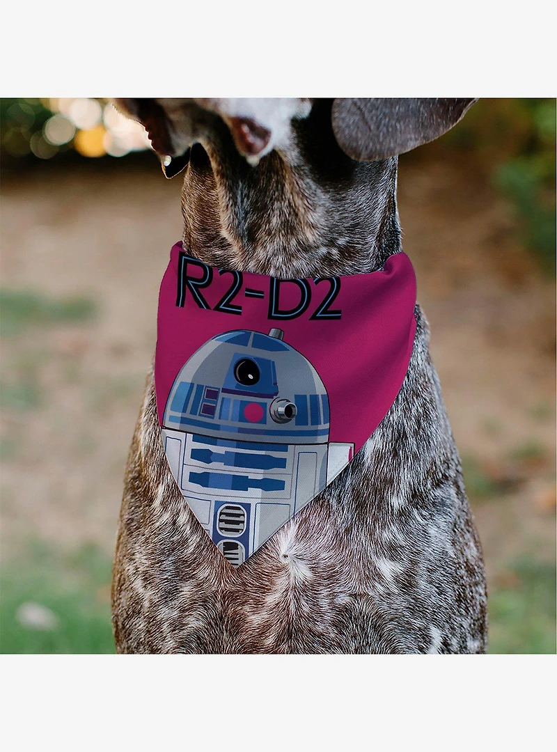 Star Wars R2 D2 Text and Pop Art Pose Slip On Collar Pet Bandana - Bandana Only