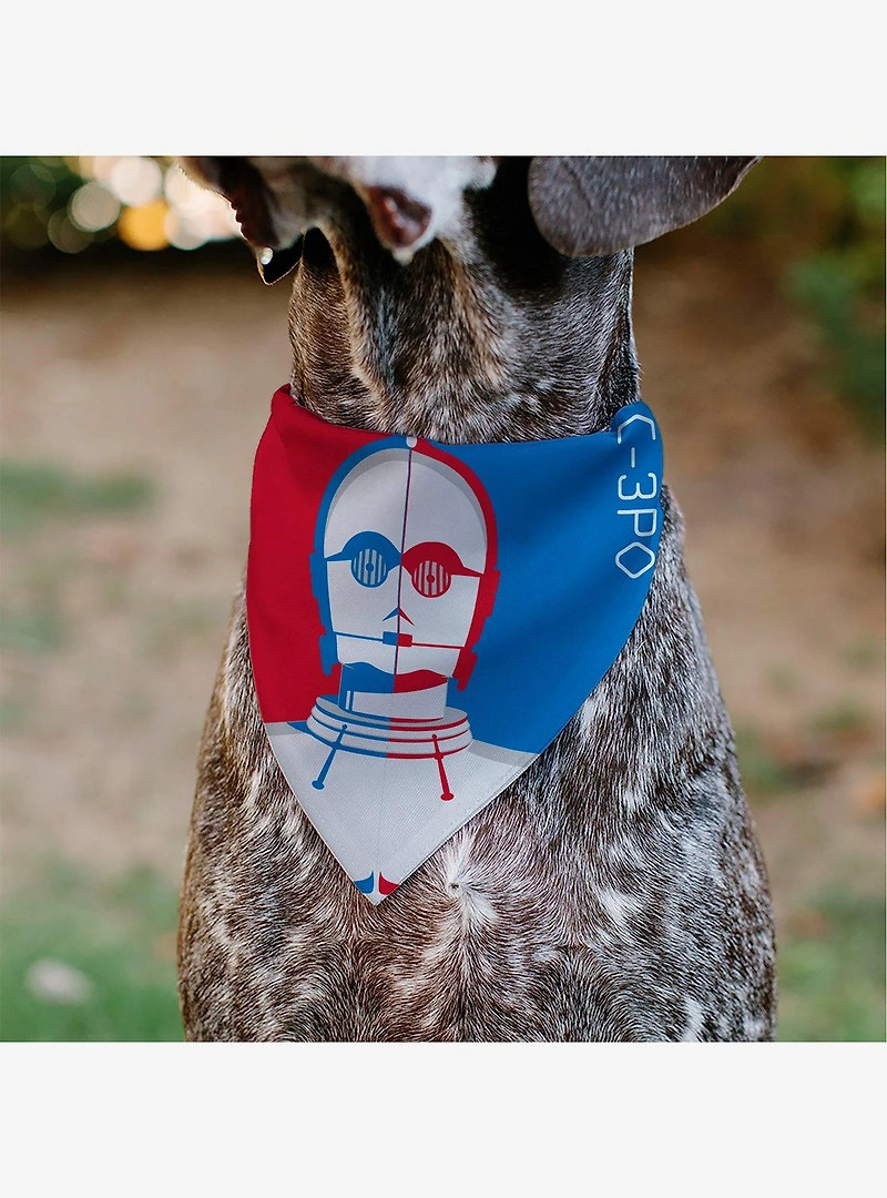 Star Wars Droid C3PO Text and Pop Art Pose Slip On Collar Pet Bandana - Bandana Only