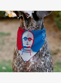 Star Wars Droid C3PO Text and Pop Art Pose Slip On Collar Pet Bandana - Bandana Only