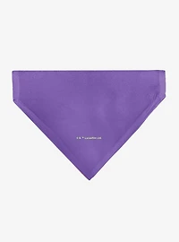 Star Wars Ewok Text and Wicket Pop Art Slip On Collar Pet Bandana - Bandana Only