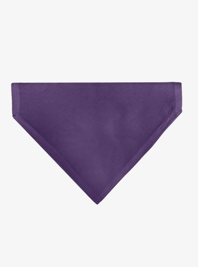 Disney Alice in Wonderland Cheshire Cat Smiling Pose Slip On Collar Pet Bandana - Bandana Only