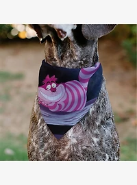 Disney Alice in Wonderland Cheshire Cat Smiling Pose Slip On Collar Pet Bandana - Bandana Only