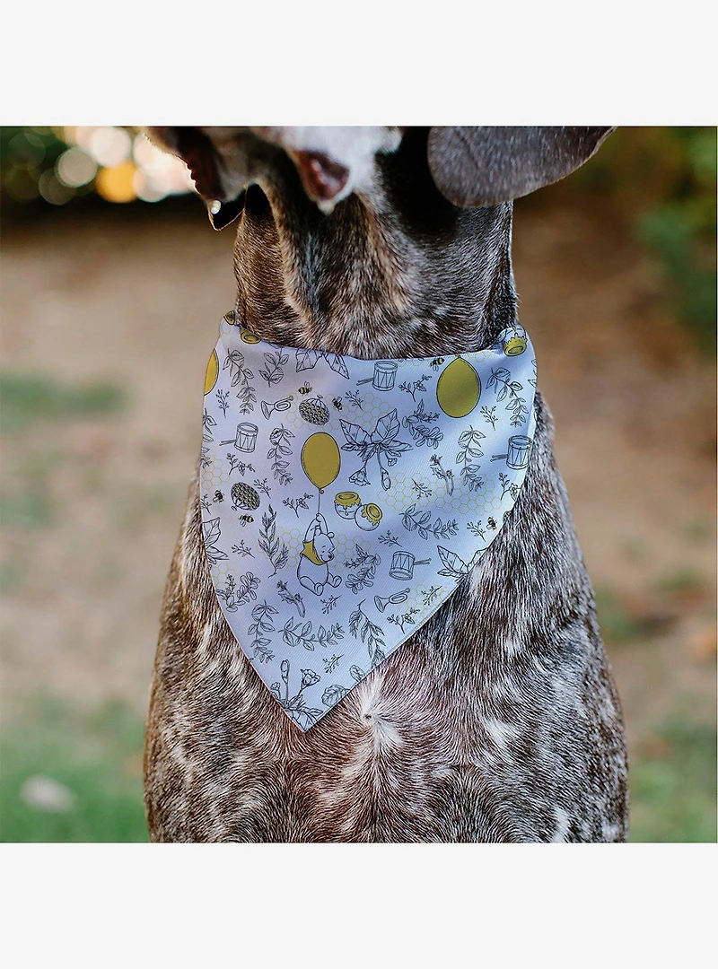 Disney Winnie the Pooh Balloon Pose and Foliage Collage Slip On Collar Pet Bandana - Bandana Only