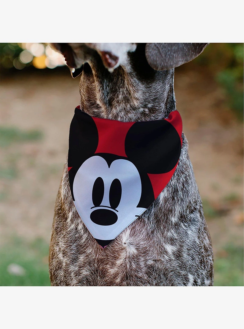 Disney Mickey Mouse Face Character Close Up Slip On Collar Pet Bandana - Bandana Only