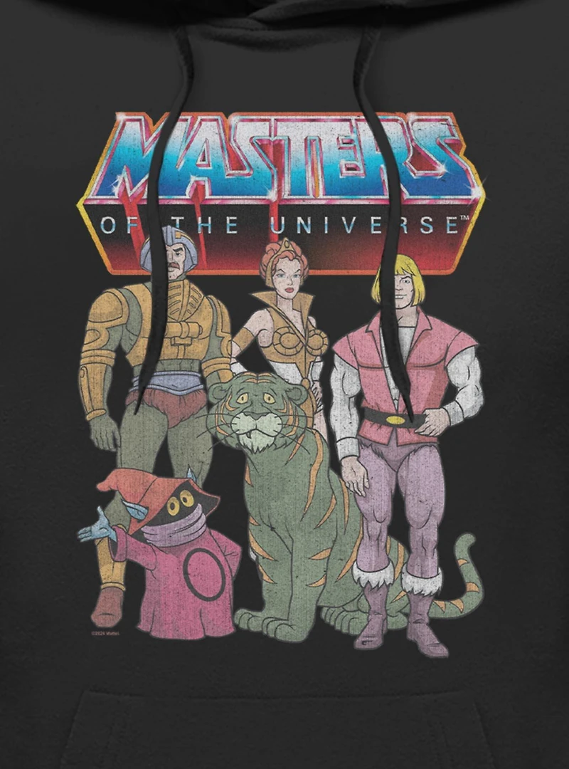 Masters Of The Universe Hero Group Hoodie