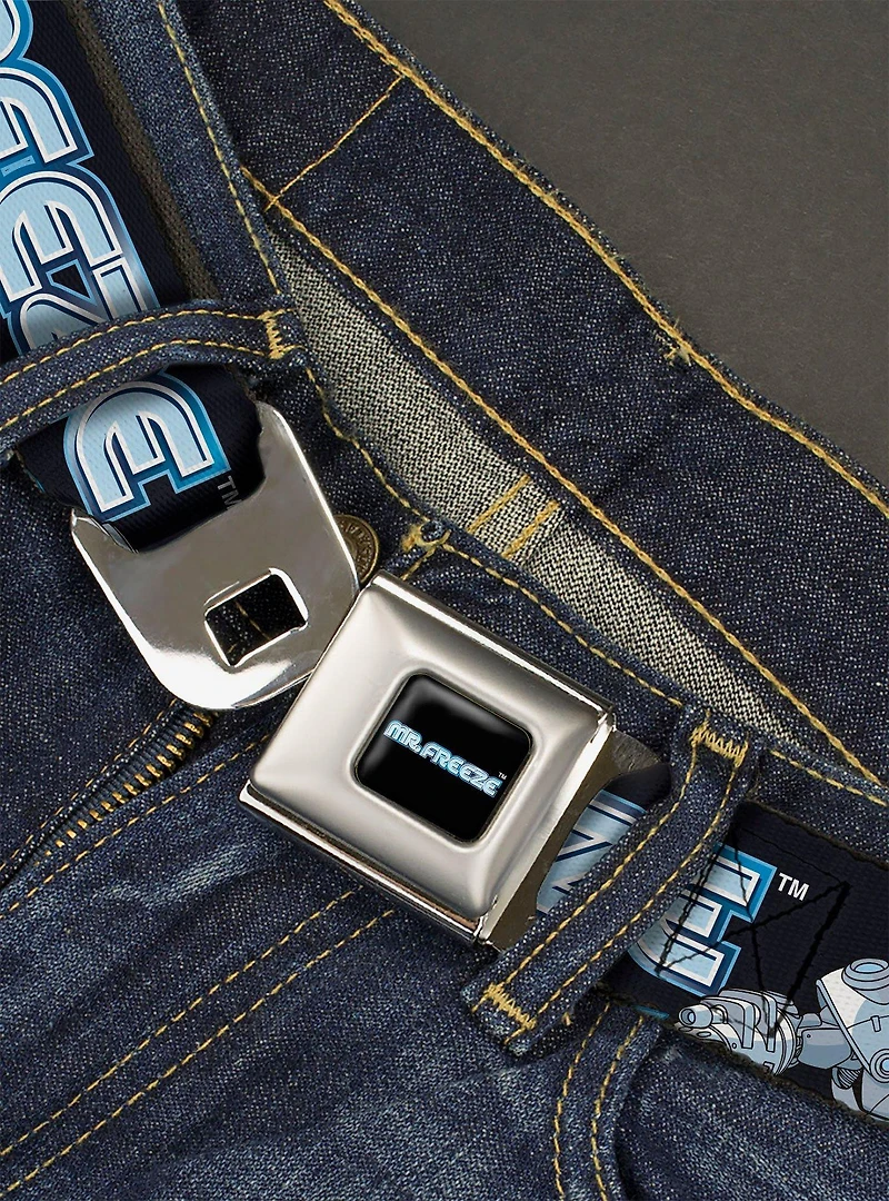 DC Comics Batman Villain Mr Freeze Poses and Title Youth Seatbelt Buckle Belt