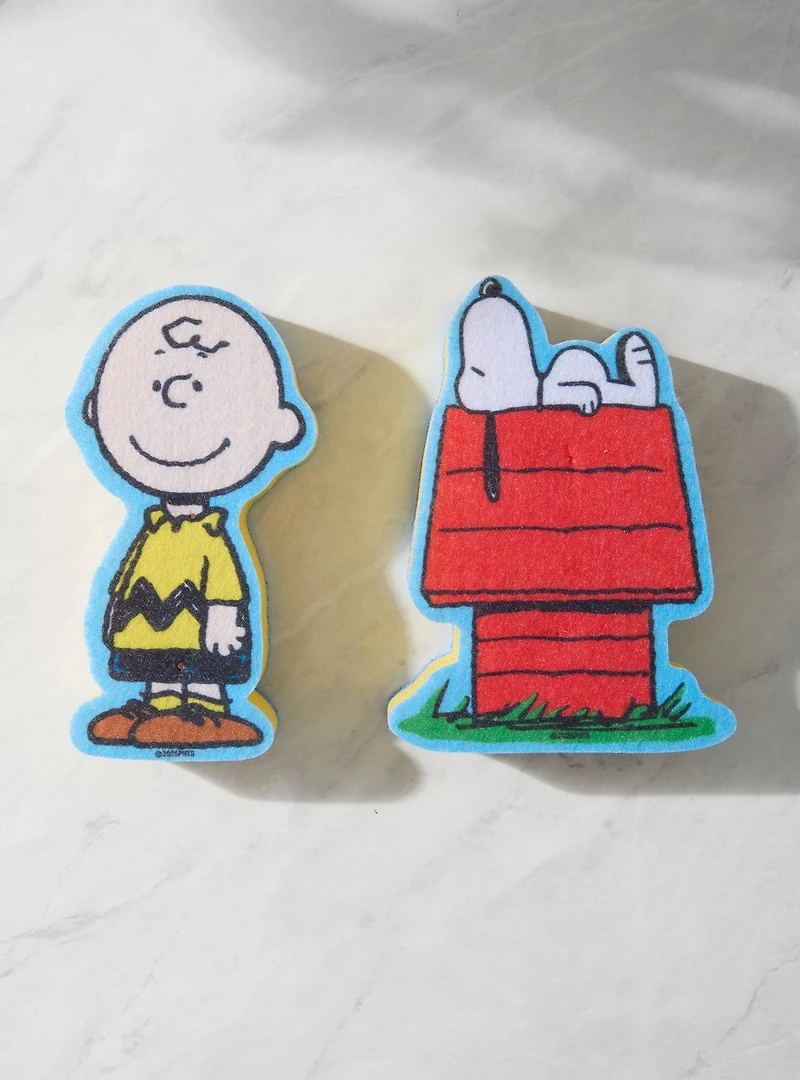 Peanuts Snoopy & Charlie Brown Sponge Set