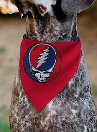 Grateful Dead Steal Your Face Logo Centered and Slip On Collar Pet Bandana - Bandana Only