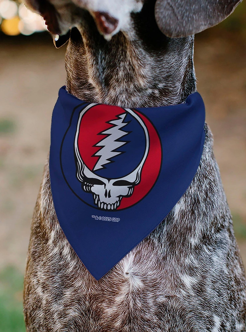 Grateful Dead Steal Your Face Logo Centered and Slip On Collar Pet Bandana - Bandana Only