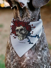 Grateful Dead Skull and Rose Face Slip On Collar Pet Bandana - Bandana Only