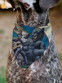 Grateful Dead Daves Picks Volume Five Truman UCLA Cover Slip On Collar Pet Bandana - Bandana Only