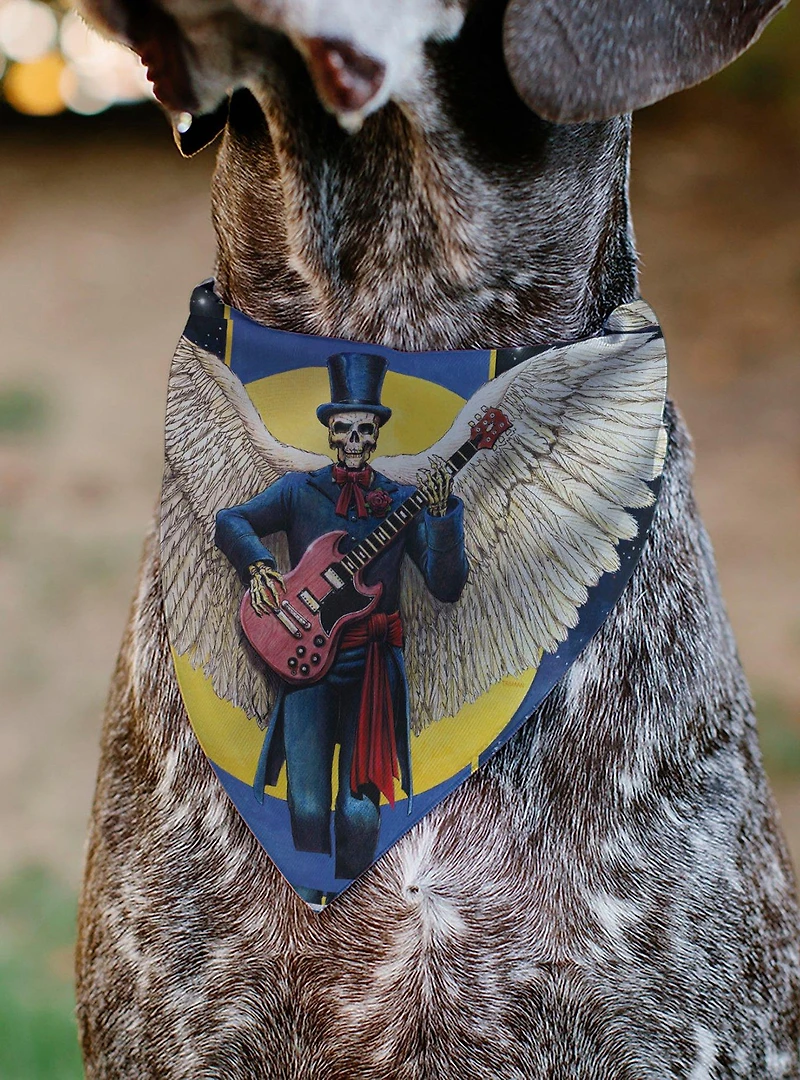 Grateful Dead Daves Picks Vol. 6 SF & St Louis Skeleton Slip On Collar Pet Bandana - Bandana Only