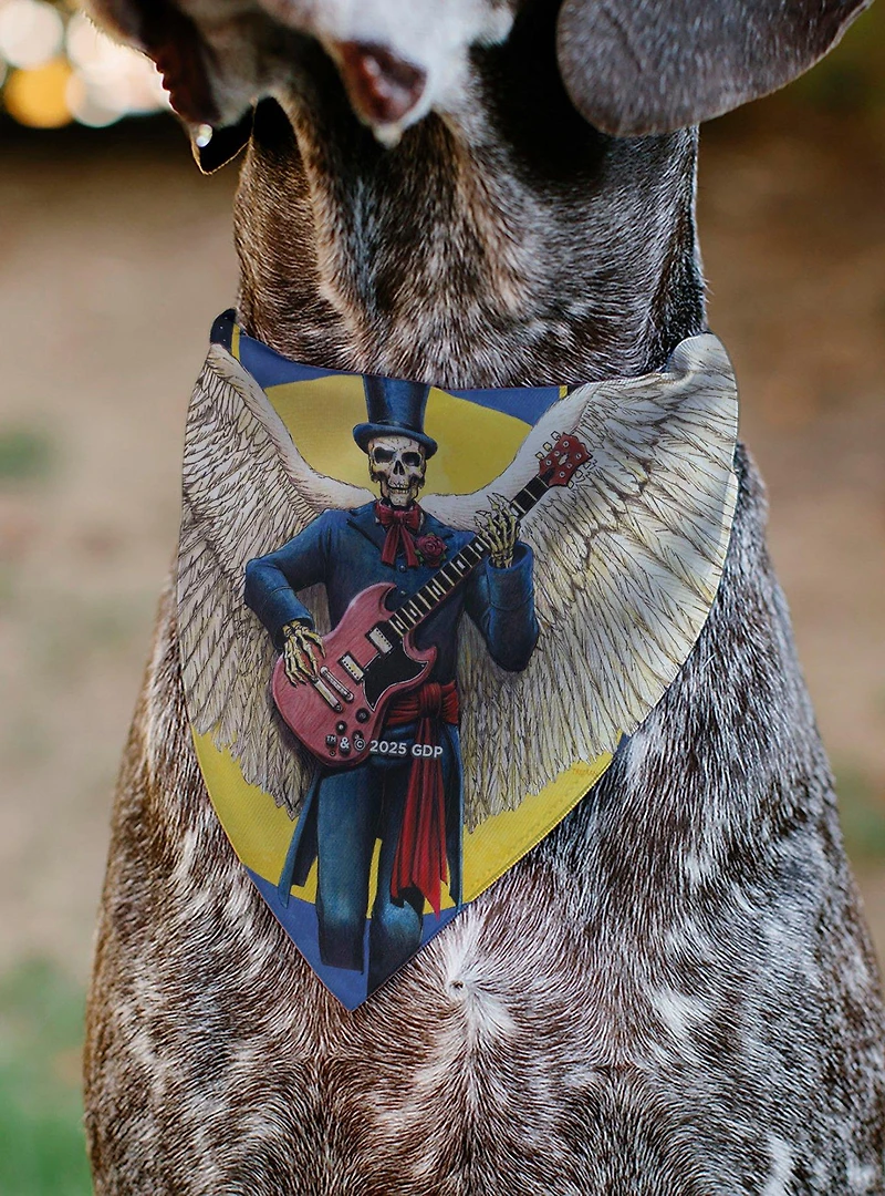 Grateful Dead Daves Picks Vol. 6 SF & St Louis Skeleton Slip On Collar Pet Bandana - Bandana Only