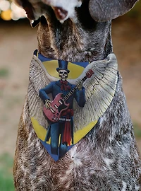 Grateful Dead Daves Picks Vol. 6 SF & St Louis Skeleton Slip On Collar Pet Bandana - Bandana Only