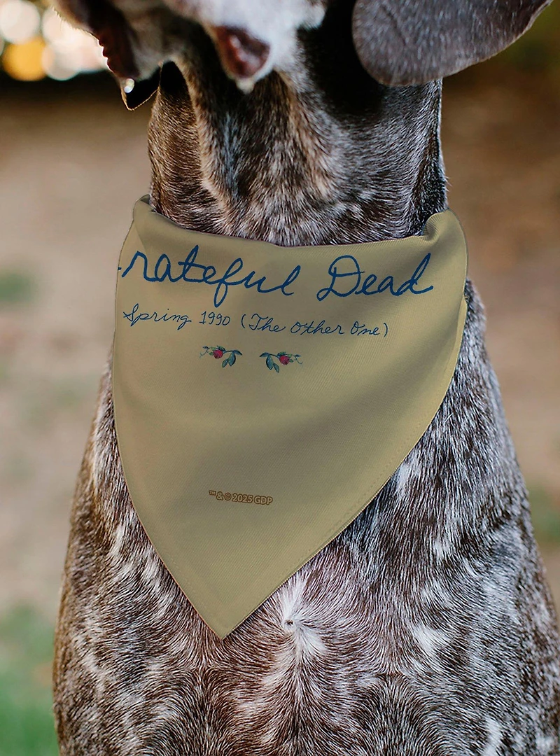 Grateful Dead The Other One Roses and Text Tan Slip On Collar Pet Bandana - Bandana Only